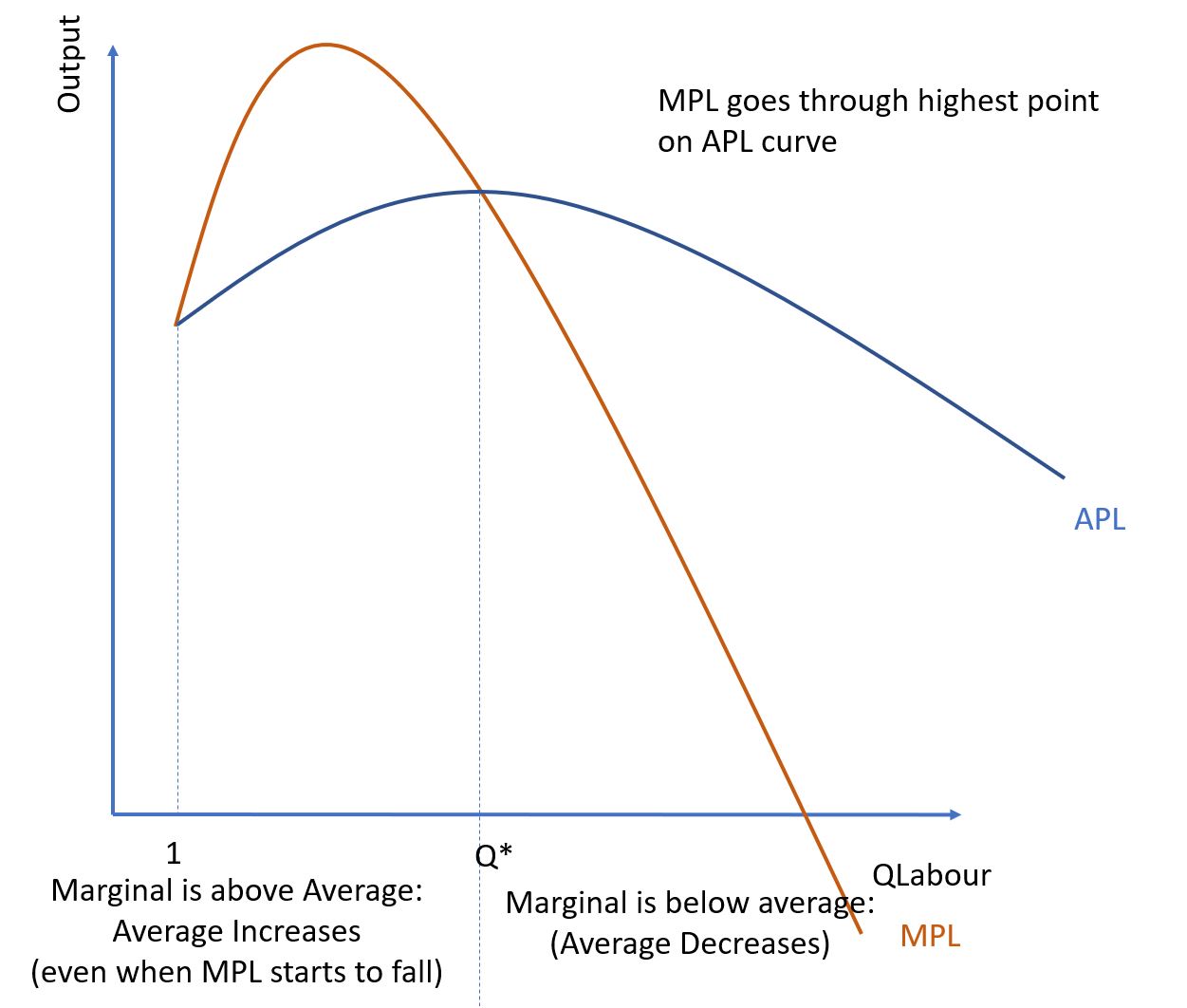 Marginal Product of Labour and Average Product of Labour