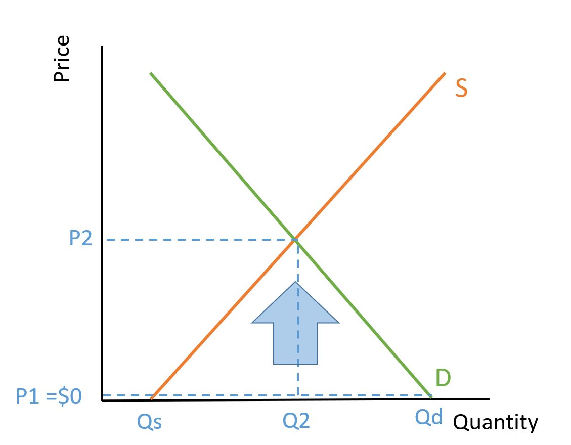 The Market for Surrogate Mothers